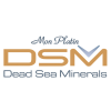 DSM - Dead Sea minerals